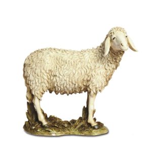 Mouton à Tête Haute Prestige 20 Echelle 1:7