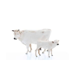 Mucca e Vitello Compact 8 per Presepi in Scala 1:22