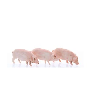 Set 3 Maiali Standard 10 per Presepe in Scala 1:20