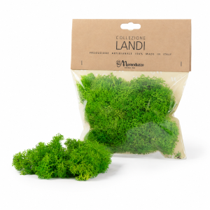 Busta di lichene verde circa 50 grammi