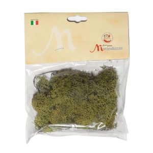 Sachet de lichen vert d’environ 50 grammes