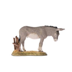 Âne Prestige 18 Echelle 1:10