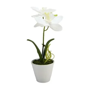 Vasetto Classic con Orchidea – h 19 cm