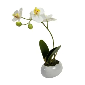 Vasetto Egg con Orchidea – h 23 cm