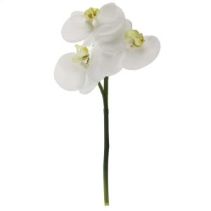 Branche d'orchidée - h 23 cm