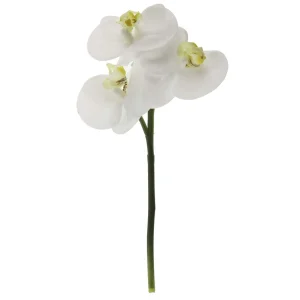 Rametto Orchidea – h 23 cm