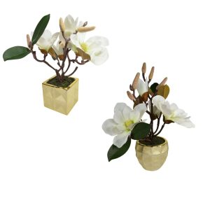 Magnolia Plumier en vase - h 33/38 cm (2 Assortiments)