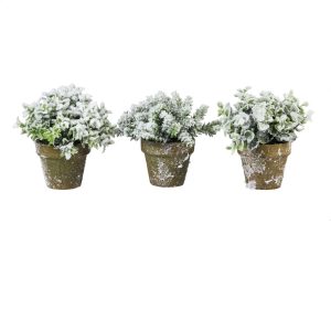 Set Topiary Flock en pot h 15 cm 3 assortiments