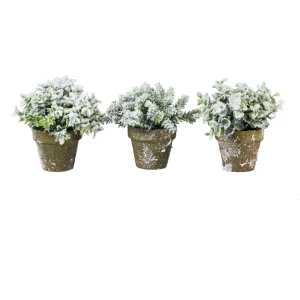 Set Topiary Flock in vasetto h 15 cm 3 assortimenti