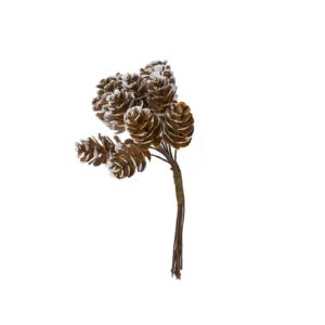 Lot de 12 pommes de pin naturelles Ø 12 cm