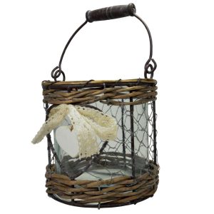 Hurricane Monia h 15 cm