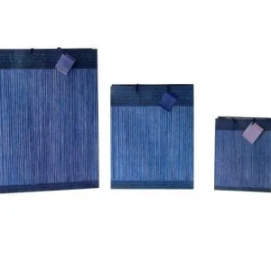Buste carta con manici 180x100x227 mm righe blu