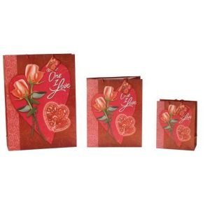 Enveloppes en papier avec poignées 180x100x227 mm rouge avec cœur