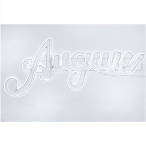 Tube néon LED "Greetings" - 756 LEDs Ice White - lumière constante - 120×55 cm - 24V - fil transparent - utilisation extérieure