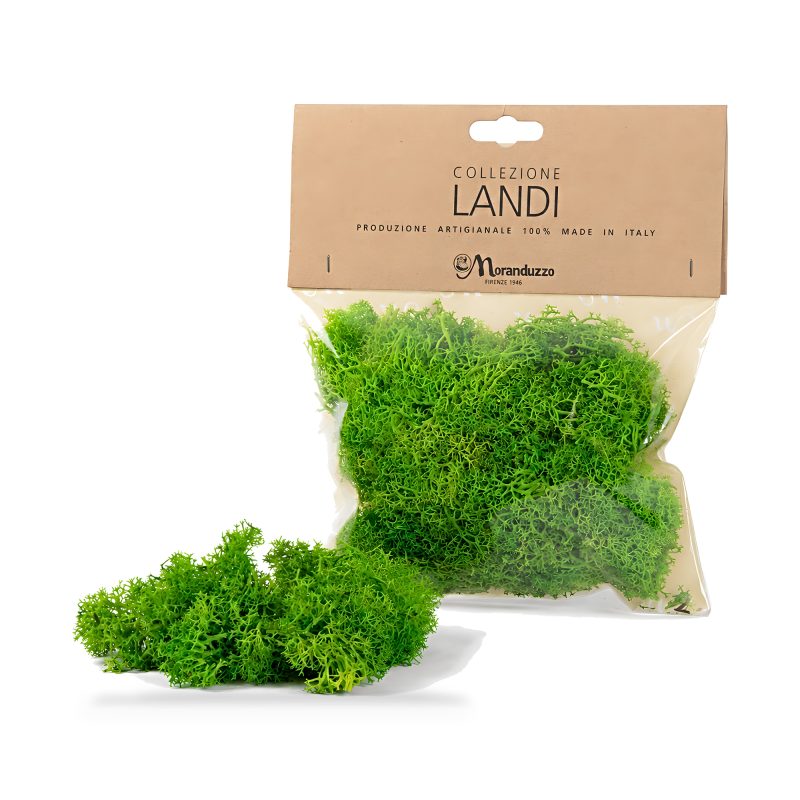 Bag of green lichen about 50 grams