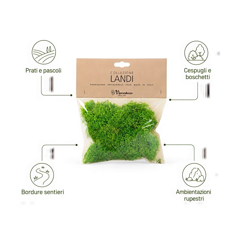 Bag of green lichen about 50 grams